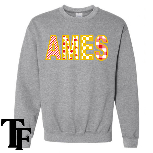 AMES Embroidery Applique Sweatshirt